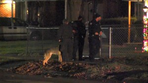 Police search for carjackers